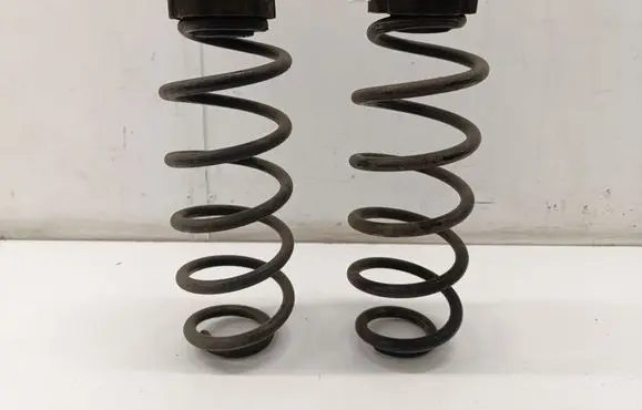 Rear coil spring