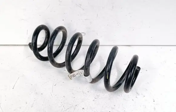Ford Escape IV Rear coil spring LX615560NND