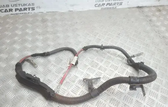Opel Insignia A Wires (generator/alternator) 22969136