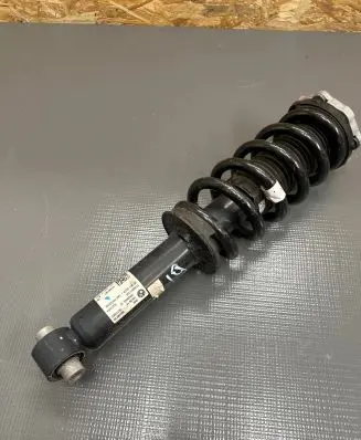 BMW iX Rear shock absorber with coil spring 6891987 120H336BX