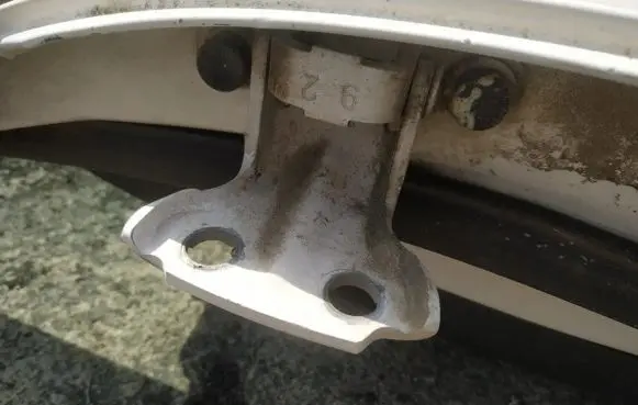 Rear door lower hinge