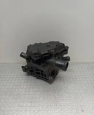 Thermostat/thermostat housing