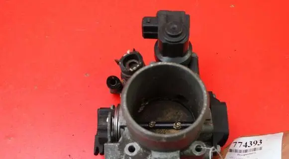 Throttle body valve