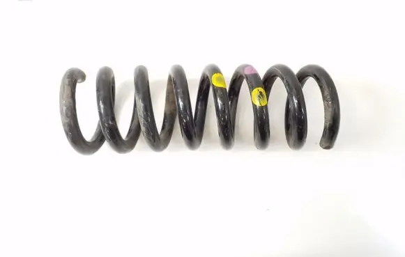 Rear coil spring