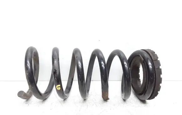 Rear coil spring