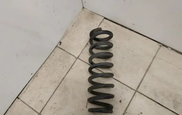 Rear coil spring
