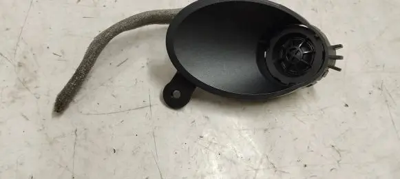 Front door high frequency speaker