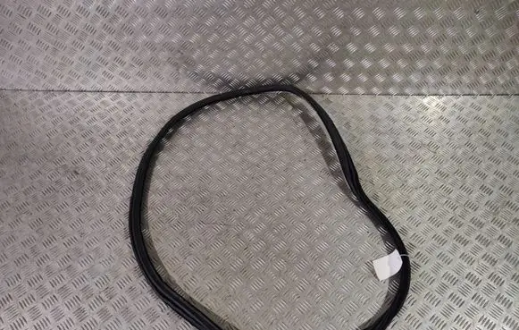 Rear door rubber seal (on body)