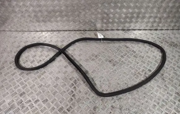 Chrysler Pacifica Front door rubber seal