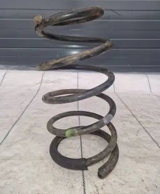 Rear coil spring
