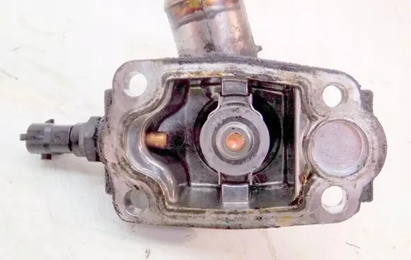 Thermostat/thermostat housing