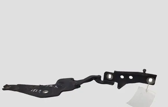 BMW X5 E70 Engine bonnet/hood hinges 720862701