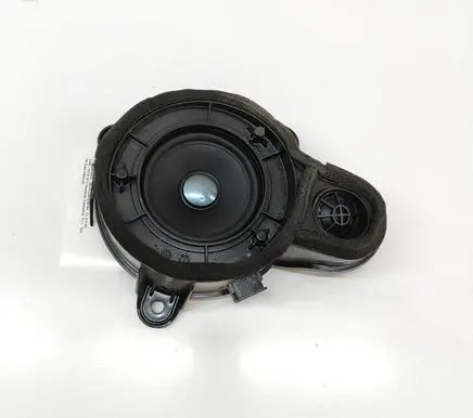 Rear door speaker