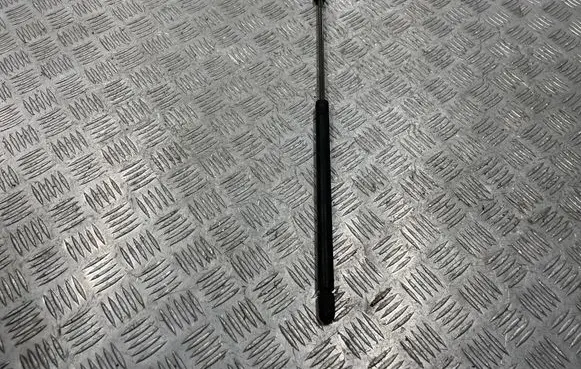 Mercedes-Benz C W202 Tailgate/trunk strut/damper 2029800364