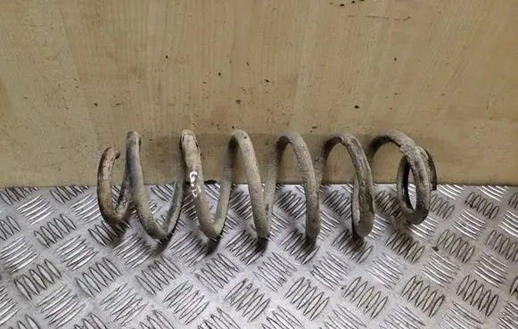 Skoda Octavia Mk2 (1Z) Rear coil spring
