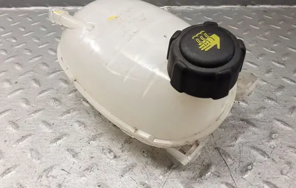 Dacia Sandero III Coolant expansion tank/reservoir 217102572R