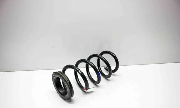 Tesla Model 3 Rear coil spring 104447201E