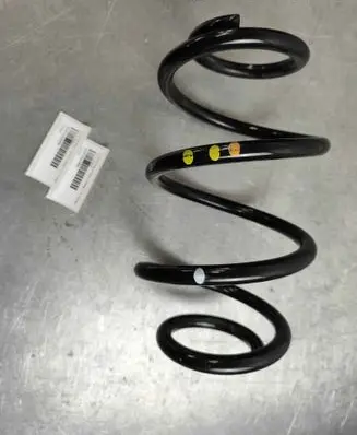 Rear coil spring