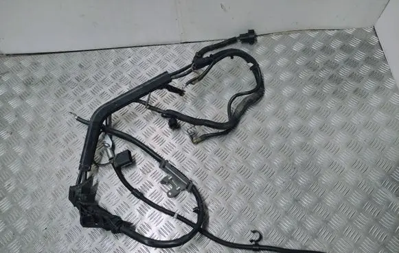 Audi A6 C7 Wires (generator/alternator) 