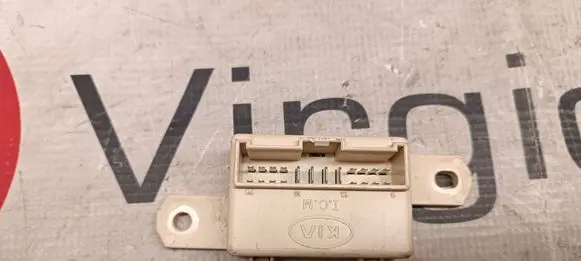 Other control units/modules