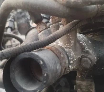 Volkswagen Golf IV Engine coolant pipe/hose