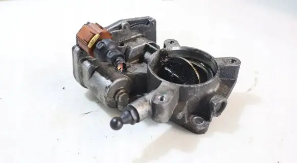 Throttle body valve