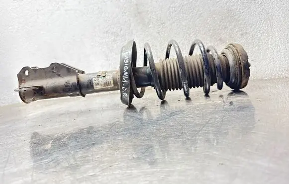 Opel Insignia A Front shock absorber with coil spring 13219125 E4612401 367327926