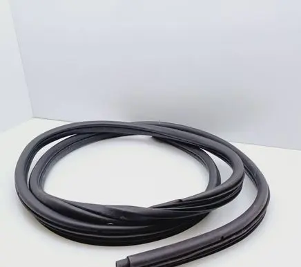 Renault Megane I Rubber seal rear door 