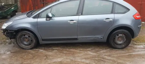 Rear door window glass