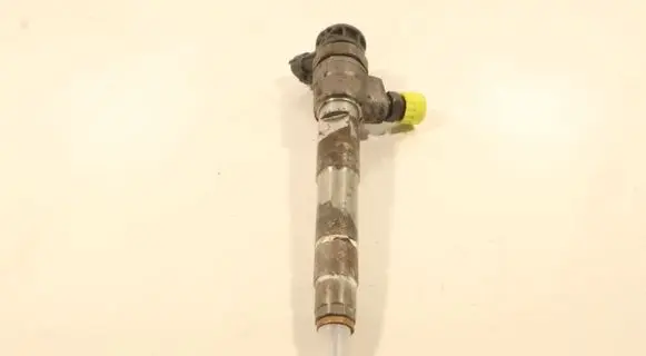 Dacia Lodgy Fuel injector 0445110800