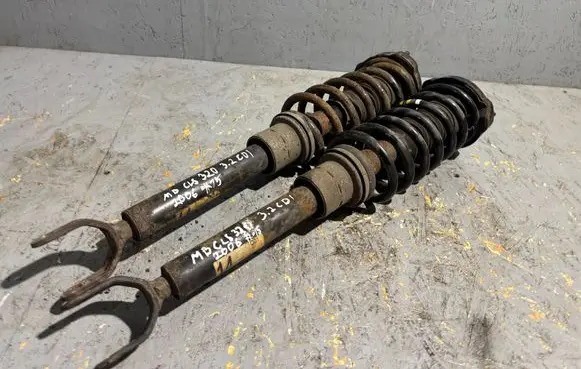 Mercedes-Benz CLS C219 Front shock absorber/damper A2193201413