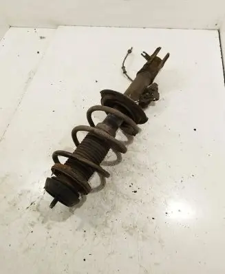 Front shock absorber with coil spring