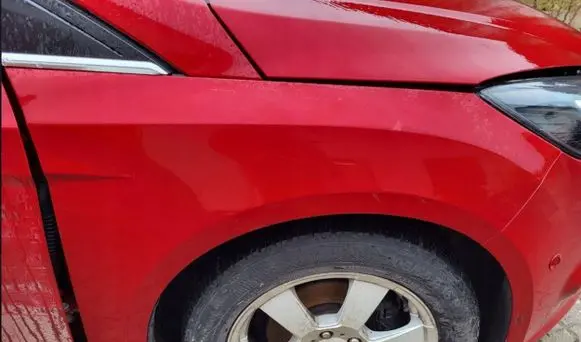Ford Focus Fender