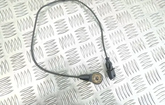 Opel Vectra C Detonation knock sensor 0261231116