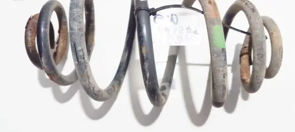 Volkswagen PASSAT B5 Rear coil spring