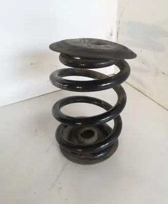 BMW 3 E46 Rear coil spring