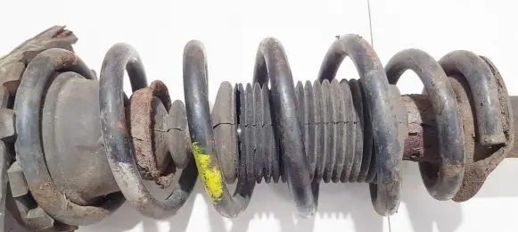 Nissan Primera Rear coil spring