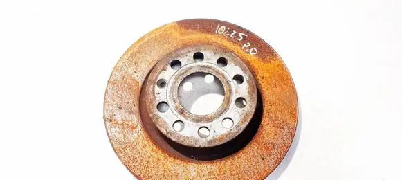 Volkswagen Golf V Front brake disc ventiliuojamas