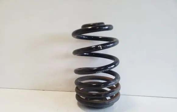 Renault Trafic III (X82) Rear coil spring