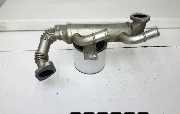 Skoda Roomster (5J) EGR valve cooler 038131513K