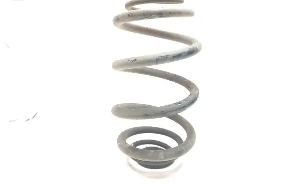 Renault Trafic III (X82) Rear coil spring