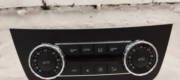 Mercedes-Benz GLE (W166 - C292) Climate control unit A1669008721