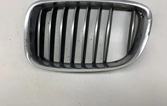 BMW 5 GT F07 Front bumper upper radiator grill 51137200169 51137200167