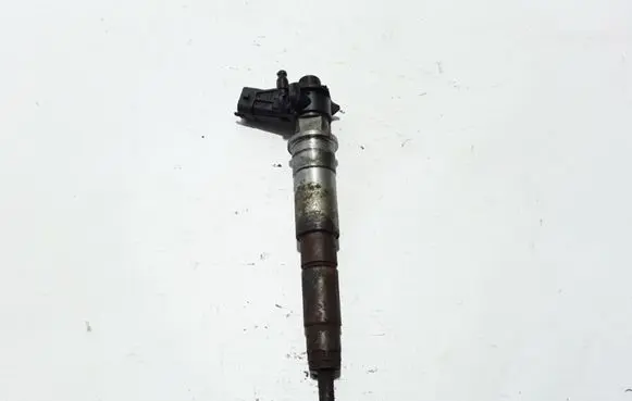 Renault Latitude (L70) Fuel injector 7701478969