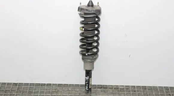 Mercedes-Benz CLS C219 Front shock absorber/damper A2193202013