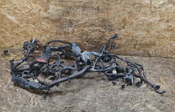 Ford Fusion II Other wiring loom HG9T12A581AAG