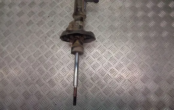 Opel Insignia A Front shock absorber/damper E4612101