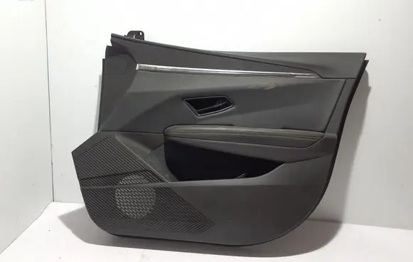 Renault Megane E-Tech Front door card panel trim 809001256R