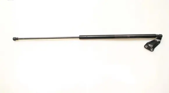 Nissan Juke I F15 Tailgate strut 904501KA1B