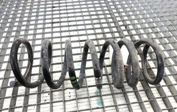 Rear coil spring